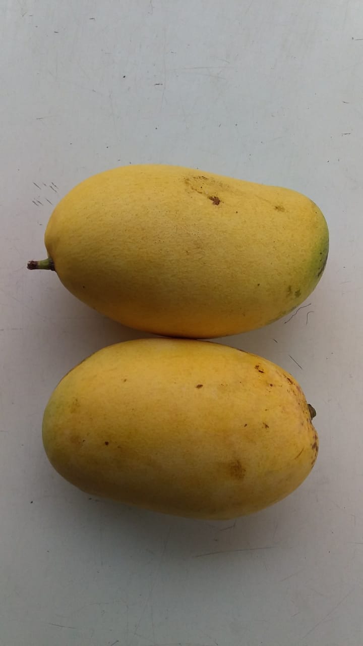 cheruku rasam mango online