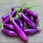 Long purple eggplant