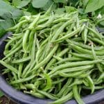 flat beans